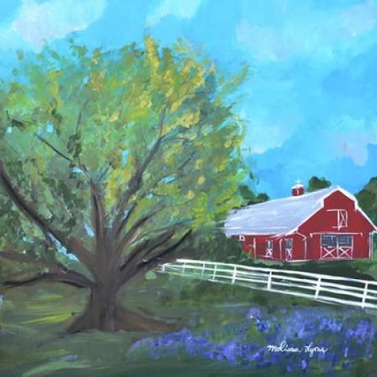 Texas Barn Canvas Art - Melissa Lyons (24 x 24)