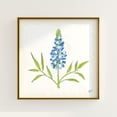 thumbnail image 1 of Texas Bluebonnet Botanical Poster Grandmillennial Southern Art V1, Unframed Canvas 8x10in, 1 of 4