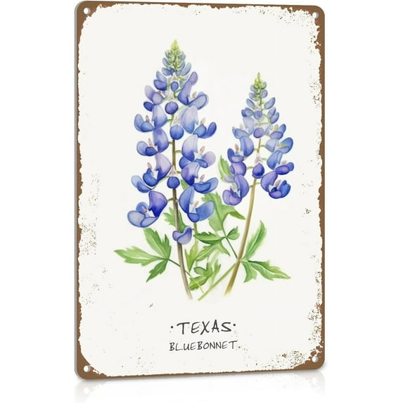 Texas Bluebonnet Decor For Home Texas Souvenirs Gifts For Women Texas Wall Art Kitchen Metal Sign Vintage Decor Bathroom Tin Sign 12x8 Inch