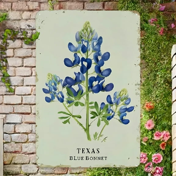 Texas Bluebonnet Decor For Home Texas Souvenirs Gifts For Women Texas Wall Art Texas Themed Gifts Kitchen Wall Decor Vintage Metal Sign Bathroom Decor