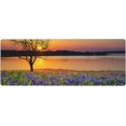 thumbnail image 1 of Texas Bluebonnet Field Sunset Extra Large Gaming Mouse Pad Non-Slip Laptop Mousepad Desk Mat 31.5x11.8 Inch, 1 of 1