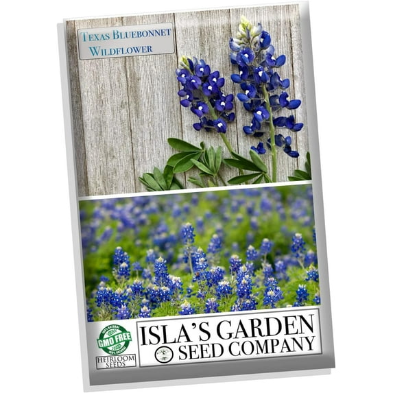 Texas Bluebonnet Flower Seeds, 25 Heirloom Seeds Per Packet, Isla's Garden Seeds