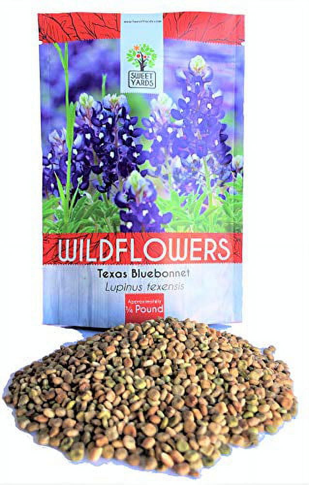 Sweet Yards Seed Gardening in Live Plants - Walmart.com