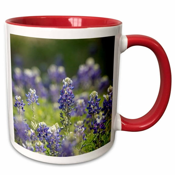 3drose, Texas Bluebonnets, Austin, Texas, 11oz Two-tone Red Mug