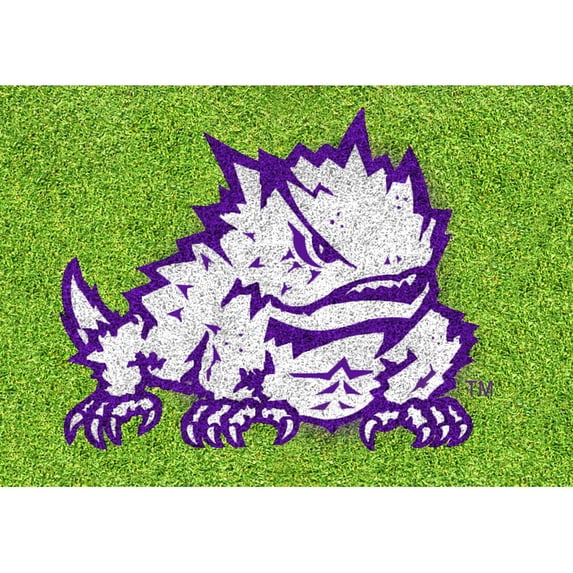 Texas Christian University Horned Frogs 66'' x 45'' Original Stencil Kit