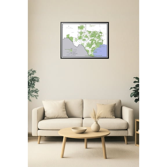 Texas Core Based Statistical Areas Map Poster – Detailed County & Metro Region Overview 【Photo Paper】