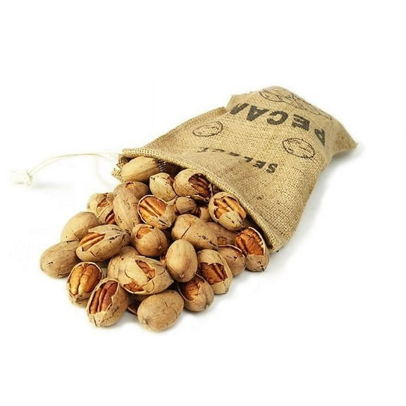 Texas -Cracked- Pecans - Burlap Bag