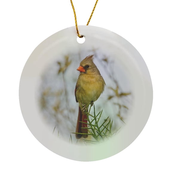 3drose, Texas, Dos Venadas Ranch, Northern Cardinal Bird - Us44 Bja0123 - Jaynes Gallery, Circle Porcelain Ornament