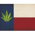 thumbnail image 1 of Texas Green Leaf 3'x5' Flag ROUGH TEX® 100D, 1 of 1