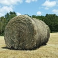thumbnail image 1 of Texas Haynet - Round Bale Hay Net Slow Feed - Durable Round Bale Feeder for Horses - American Made UV Resistant Nylon Net - Fits Round Bales 4x6-6x6 or Square Bales 3x3x8-4x4x8 with 1.75" Holes, 1 of 7