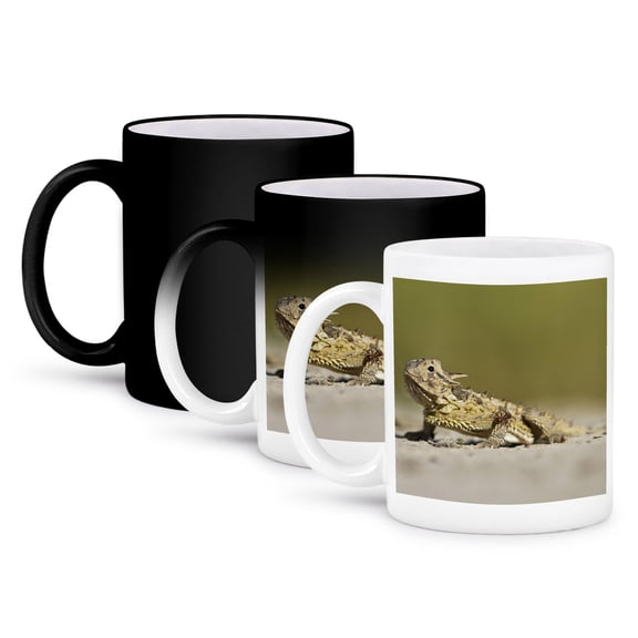 3drose, Texas Horned Lizard Hiding in Sand, South Texas, Usa - Us44 Ldi0578 - Larry Ditto, 11oz Magic Transforming Mug