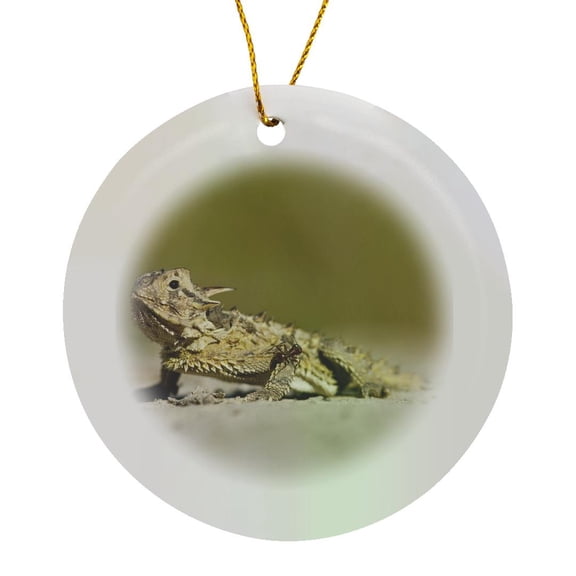 3drose, Texas Horned Lizard Hiding in Sand, South Texas, Usa - Us44 Ldi0578 - Larry Ditto, Circle Porcelain Ornament