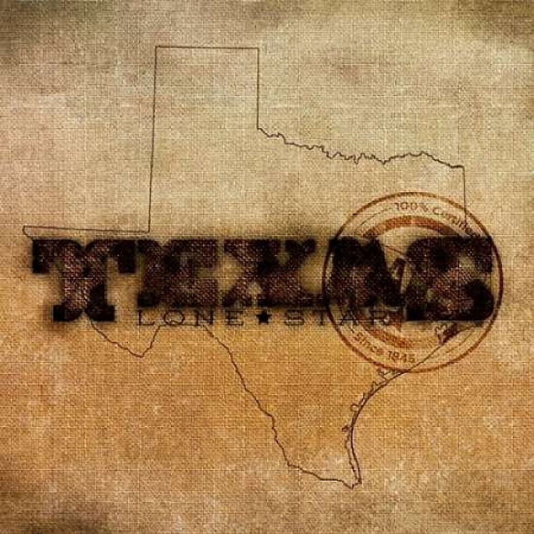 Texas Lone Star Border Canvas Art - Sundance Studio (24 x 24)