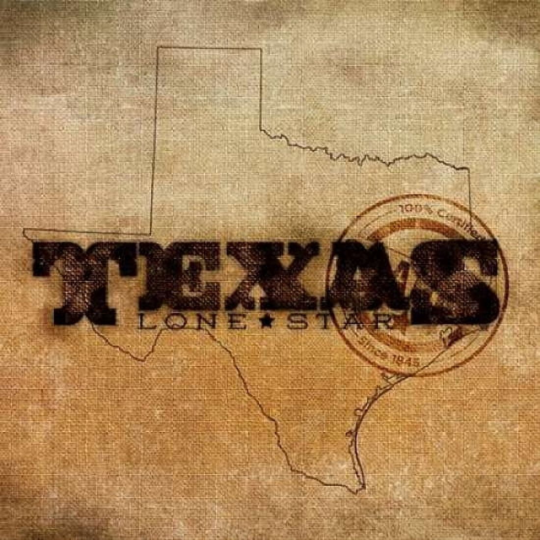 Texas Lone Star Canvas Art - SD Graphics Studio (24 x 24)