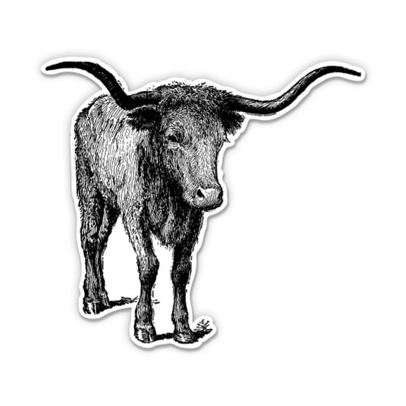 Texas Longhorn - 12" Vinyl Sticker Waterproof Decal