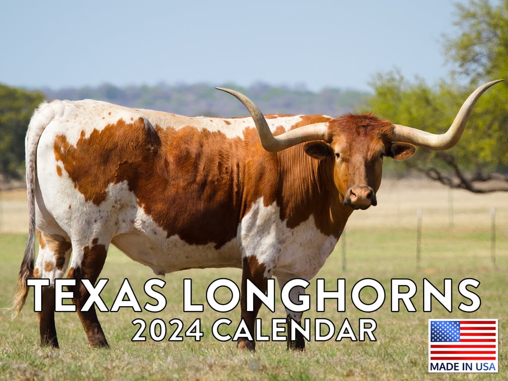 Texas Longhorn 2024 Wall Calendar Walmart Com   Texas Longhorn 2024 Wall Calendar Bd427412 33f7 418d Aafb 20cc345fbf3f.1f85adf21ade1fe8f563e1daf352833d 