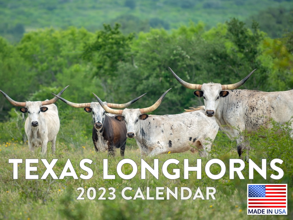 Texas Longhorn Calendar 2023 Monthly Wall Hanging Calendars Cattle