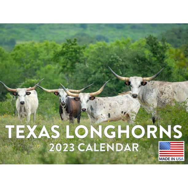 Texas Longhorn Calendar 2023 Monthly Wall Hanging Calendars Cattle