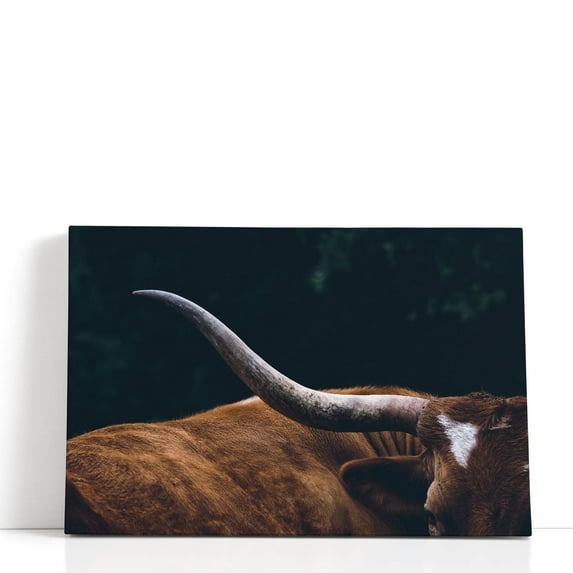 Texas Longhorn Cow Close Up - Wrapped Canvas Print Wall Art | 36" W x 24" H