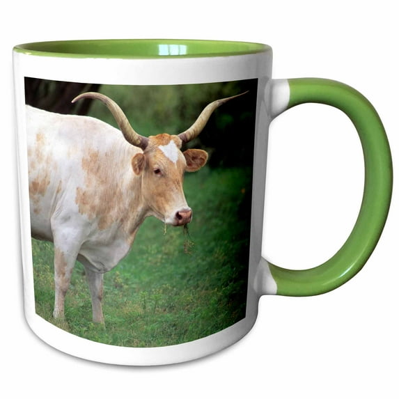 3drose, Texas Longhorn Cow - Us44 Dfr0084 - David R. Frazier, 15oz Two-tone Green Mug