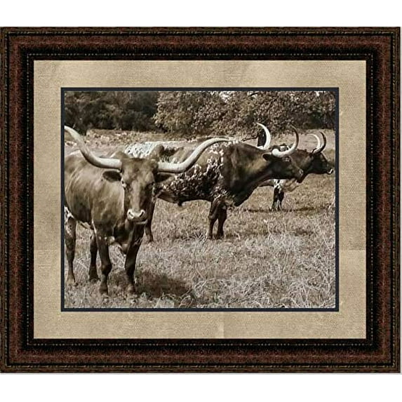 Texas Longhorn Grazing | Western Framed Cattle Art in Double Mat | 21L X 25W" Inches