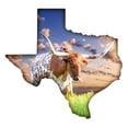 thumbnail image 1 of Texas Longhorn Metal Wall Art, 1 of 1