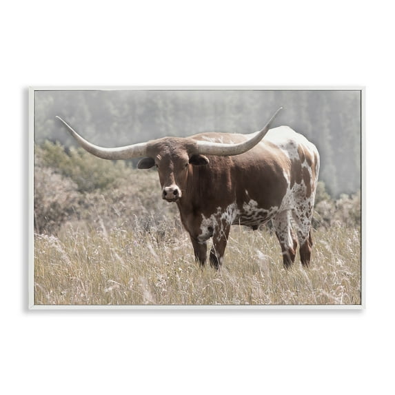 Stupell Industries Texas Longhorn Photograph White Framed Giclee Art, design by Carol Robinson, 16 x 24