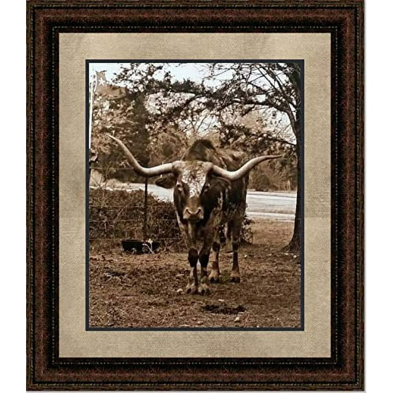 Texas Longhorn | Western Framed Cattle Art in Double Mat | 25L X 21W" Inches