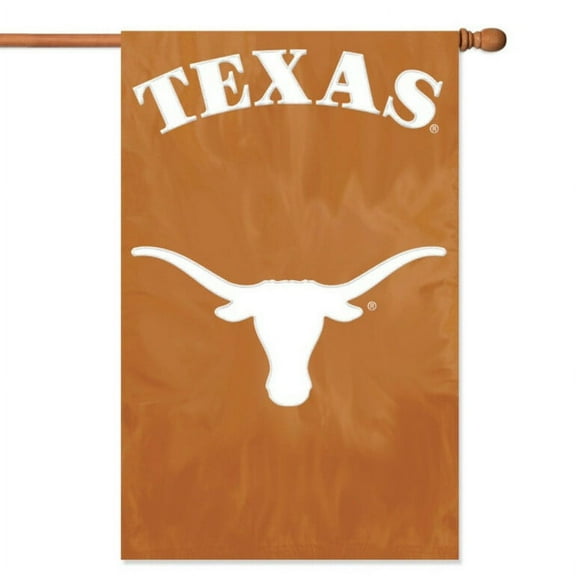 Texas Longhorns Applique Banner Flag