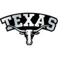 thumbnail image 1 of Texas Longhorns Molded Chrome Plastic Emblem, Logo with Wordmark, 1 of 2