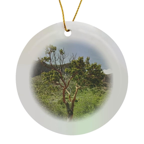 3drose, Texas Madrone Tree, Chisos Mountains, Texas, Usa - Us44 Ldi0635 - Larry Ditto, Circle Porcelain Ornament