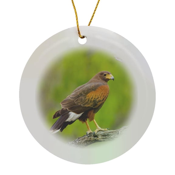 3drose, Texas, Mission, Dos Venadas Ranch Harris Hawk Bird - Us44 Bja0122 - Jaynes Gallery, Circle Porcelain Ornament