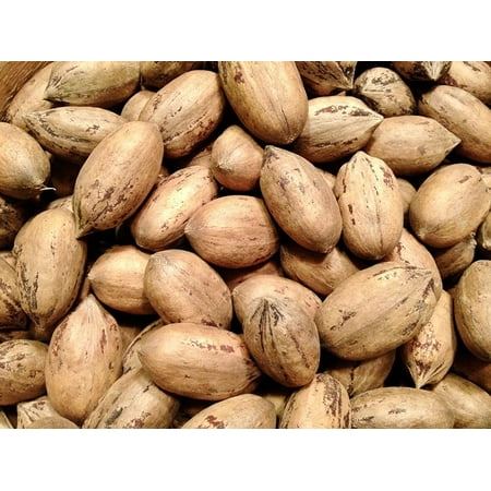 Texas Pecans whole with Shell 9 Pounds