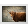 thumbnail image 1 of Texas Picture Archive 18x13 White Modern Wood Framed Museum Art Print Titled - Texas Brown Steer, 1 of 4