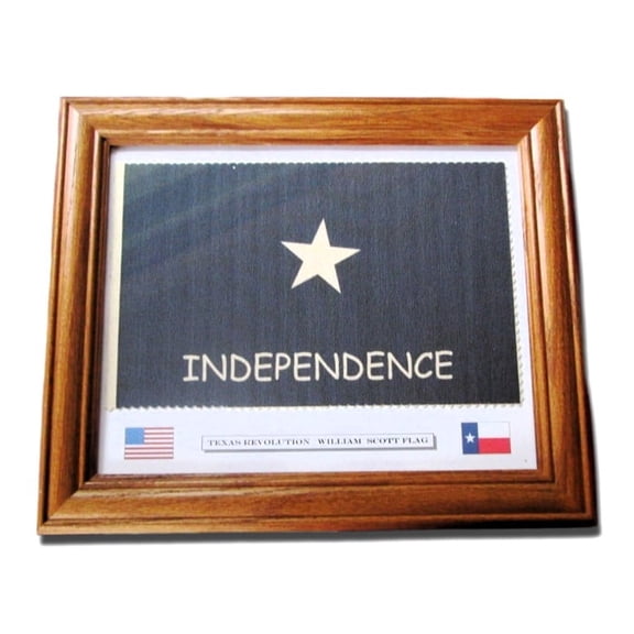 Texas Revolution Flag.. Framed Lone Star William Scott Flag. Patriotic American Wall Decor, Wall Art.