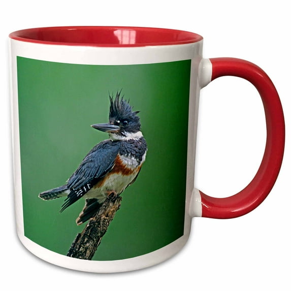 3drose, Texas, Rio Grande Valley, Belted Kingfisher Bird - Us44 Bja0107 - Jaynes Gallery, 11oz Two-tone Red Mug
