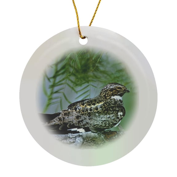 3drose, Texas, Rio Grande Valley, Common Nighthawk Bird - Us44 Bja0092 - Jaynes Gallery, Circle Porcelain Ornament