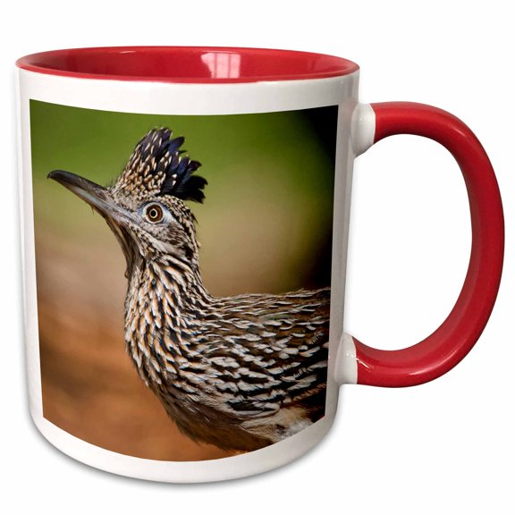 3drose, Texas, Rio Grande Valley, Greater Roadrunner Bird - Us44 Bja0181 - Jaynes Gallery, 11oz Two-tone Red Mug