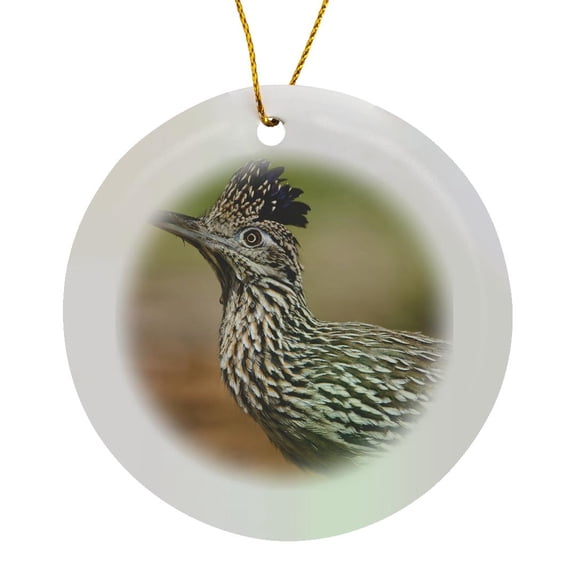 3drose, Texas, Rio Grande Valley, Greater Roadrunner Bird - Us44 Bja0181 - Jaynes Gallery, Circle Porcelain Ornament
