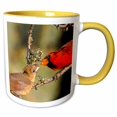 thumbnail image 1 of 3drose, Texas, Rio Grande Valley, Northern Cardinal Birds - Us44 Bja0049 - Jaynes Gallery, 15oz Two-tone Yellow Mug, 1 of 6