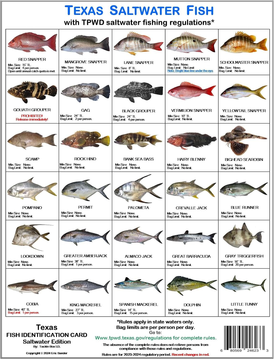 Texas Saltwater Fish Identification Card Set Three Waterproof Cards