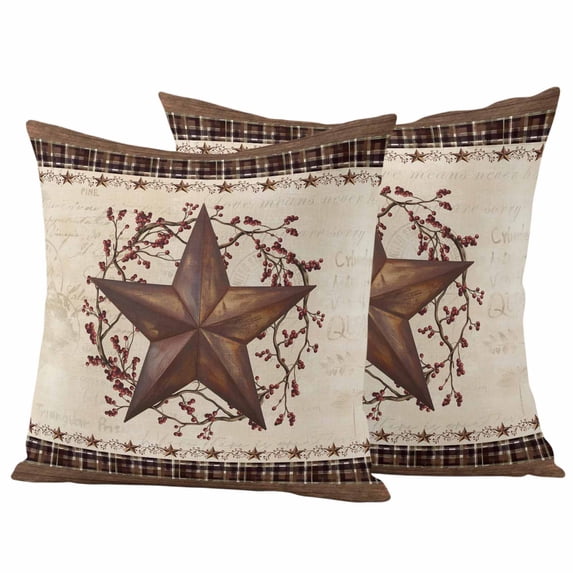 Texas Star Vintage Outdoor Waterproof Pillow Covers, Brown Retro Art Red Berry Farmhouse Decorative Square Throw Pillowcase Sofa Cushion Sham for Patio/Couch/Chair, 20"x20" 2 Pack