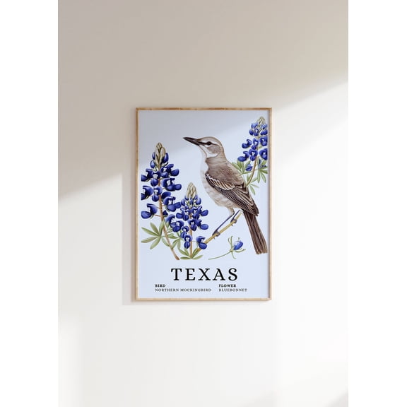 Texas State Bird And Flower Art Poster: Northern Mockingbird, Iris, Unframed Poster Size 8x12