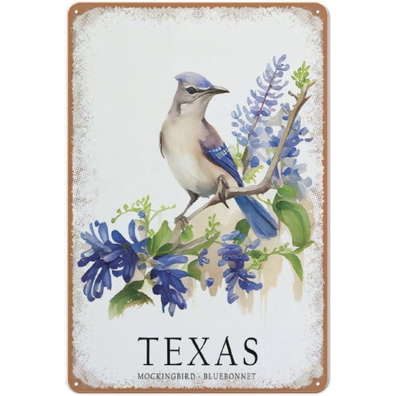 Texas State Bird and Flower Metal Tin Wall Art Sign, Texas Home Decor, 8 x 12 Inches