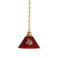thumbnail image 1 of Texas State University Pendant Light with Brass Fixture, 1 of 4