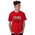 thumbnail image 1 of Texas TX Student Campus Pride Seal Men's Graphic T Shirt Tees Brisco Brands L, 1 of 6