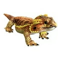 thumbnail image 1 of Horned Lizard 21.65" Desert Plush Stuffed Animal, 1 of 2
