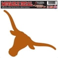 thumbnail image 1 of Texas, University of S05020 All Surface Decals, 1 of 1