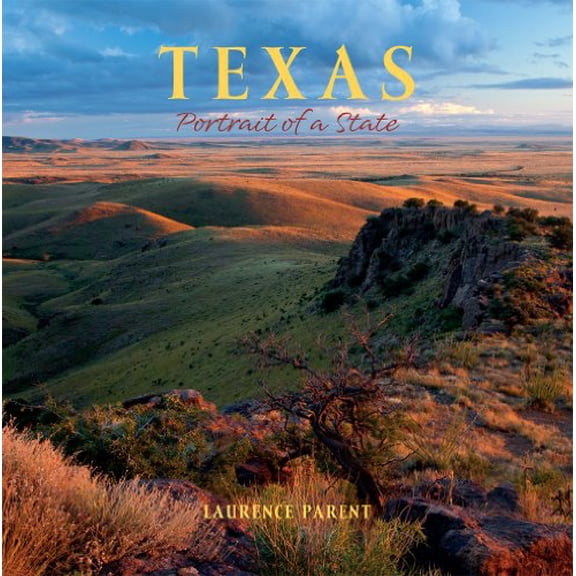 Pre-Owned Texas: Portrait of a State (Hardcover) 0882409158 9780882409153