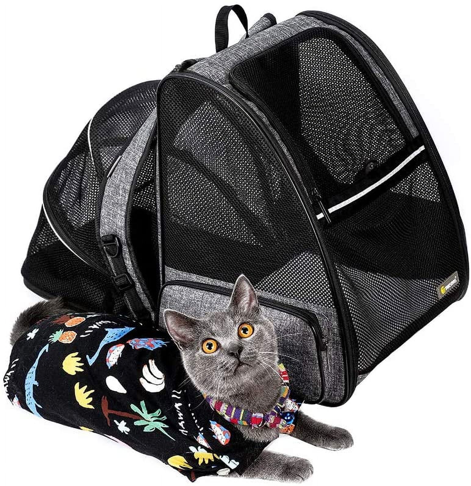 https://i5.walmartimages.com/seo/Texsens-Cat-Backpack-Carrier-Super-Breathable-Carrier-Backpack-Airline-Approved-Bubble-Cats-Puppies-Backpacks-Designed-Hiking-Travel-Walking-Expandab_328b62d3-2929-434f-a8ce-6fae426f2d89.088736e7171ea97ee09bfb801f061c21.jpeg